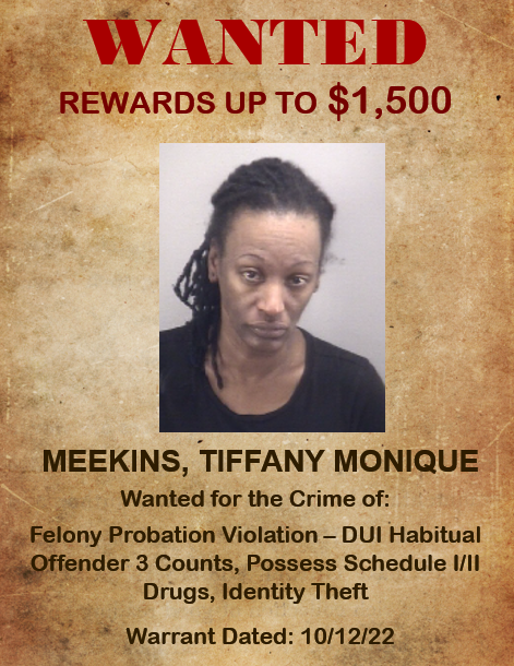 Meekins, Tiffany