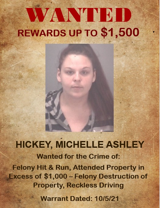 HIckey, Michelle HIckey, Michelle
