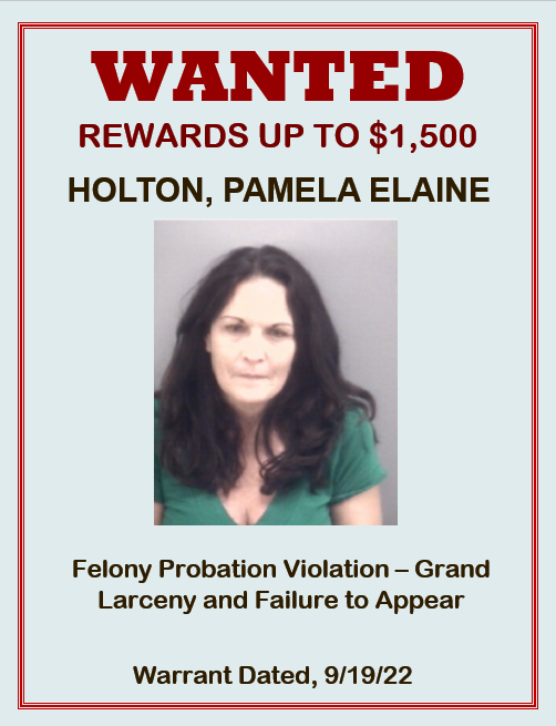 Holton, Pamela new