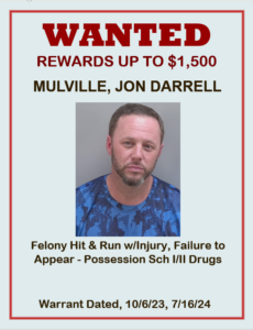 Mulville, Jon