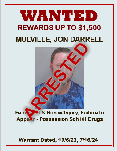 Mulville, Jon