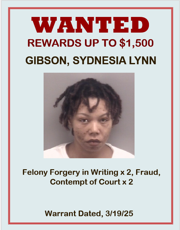 Gibson, Sydnesia, Gibson, Sydnesia,
