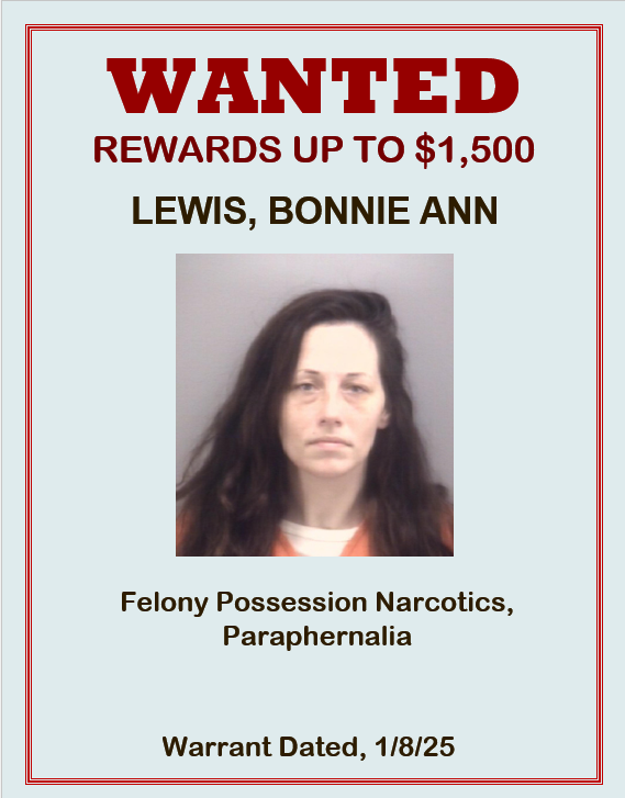 Lewis, Bonnie ann