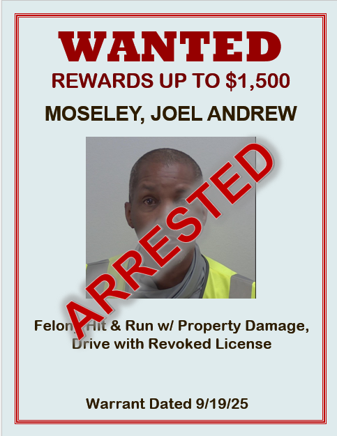Moseley, Joel