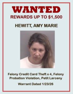 Hewitt, Amy M
